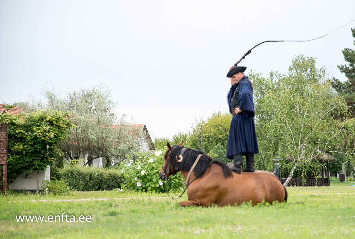 EFTC 2016 in Hungary